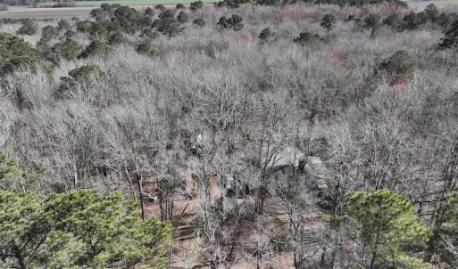 Photo #14 of 283 S. Fork creek Road, Columbia, NC 34.0 acres