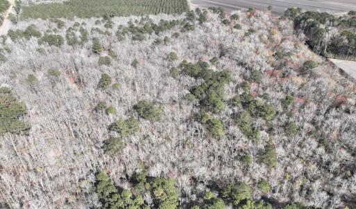 Photo #2 of 283 S. Fork creek Road, Columbia, NC 34.0 acres