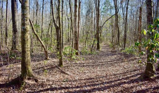 Photo #4 of 283 S. Fork creek Road, Columbia, NC 34.0 acres