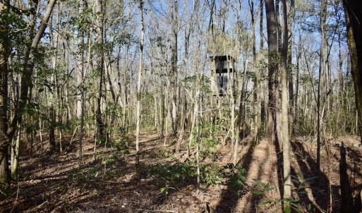 Photo #20 of 283 S. Fork creek Road, Columbia, NC 34.0 acres