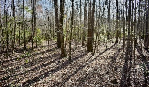 Photo #23 of 283 S. Fork creek Road, Columbia, NC 34.0 acres