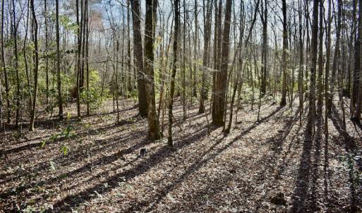 Photo #23 of 283 S. Fork creek Road, Columbia, NC 34.0 acres