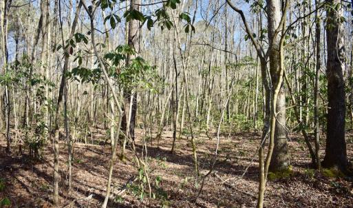Photo #24 of 283 S. Fork creek Road, Columbia, NC 34.0 acres
