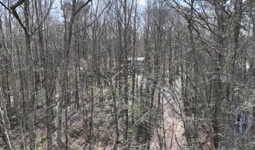 Photo #27 of 283 S. Fork creek Road, Columbia, NC 34.0 acres