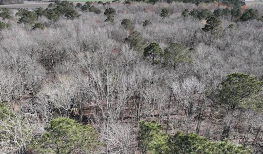 Photo #28 of 283 S. Fork creek Road, Columbia, NC 34.0 acres