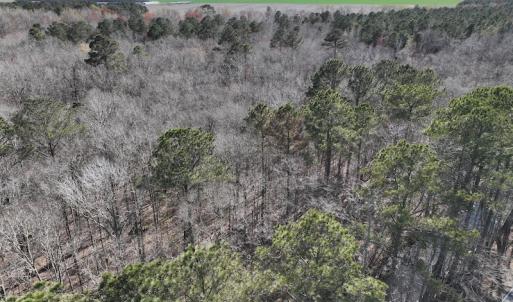 Photo #29 of 283 S. Fork creek Road, Columbia, NC 34.0 acres