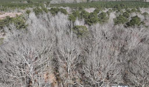 Photo #30 of 283 S. Fork creek Road, Columbia, NC 34.0 acres