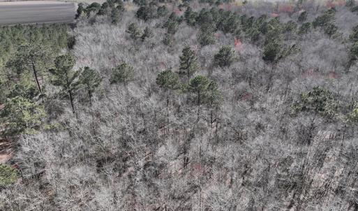 Photo #32 of 283 S. Fork creek Road, Columbia, NC 34.0 acres