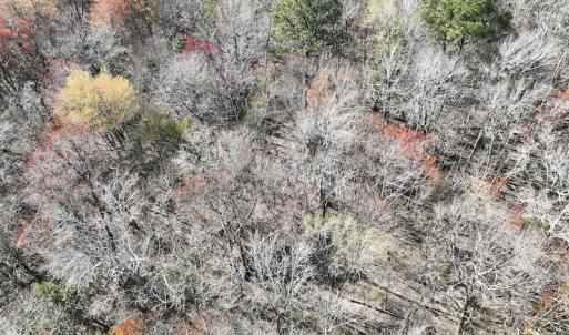 Photo #33 of 283 S. Fork creek Road, Columbia, NC 34.0 acres