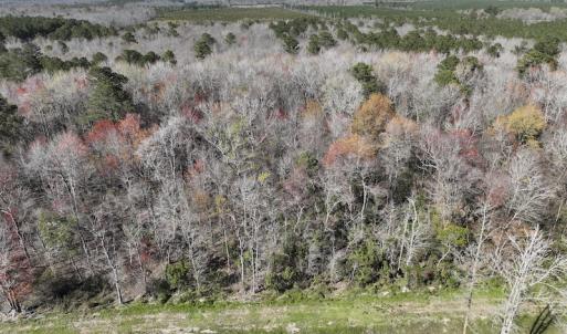 Photo #34 of 283 S. Fork creek Road, Columbia, NC 34.0 acres