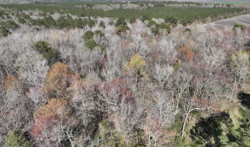 Photo #35 of 283 S. Fork creek Road, Columbia, NC 34.0 acres