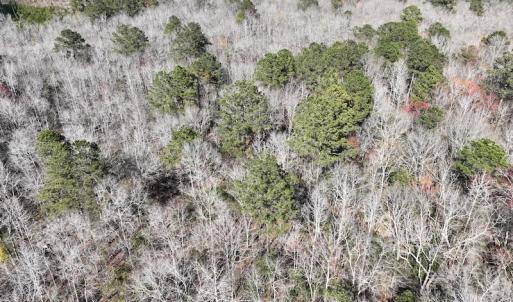 Photo #36 of 283 S. Fork creek Road, Columbia, NC 34.0 acres