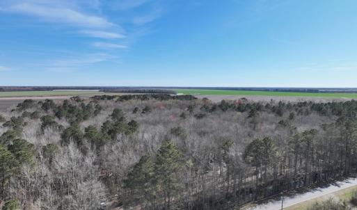 Photo #39 of 283 S. Fork creek Road, Columbia, NC 34.0 acres