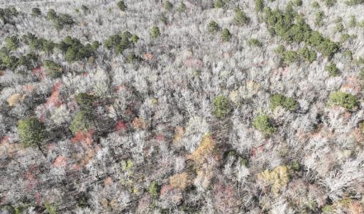 Photo #40 of 283 S. Fork creek Road, Columbia, NC 34.0 acres