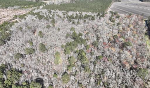 Photo #42 of 283 S. Fork creek Road, Columbia, NC 34.0 acres