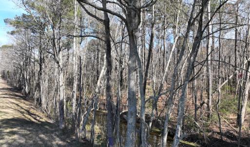 Photo #46 of 283 S. Fork creek Road, Columbia, NC 34.0 acres