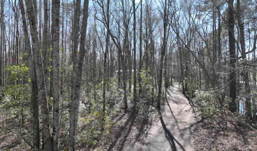 Photo #26 of 283 S. Fork creek Road, Columbia, NC 34.0 acres