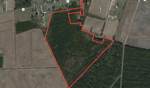 Photo #1 of SOLD property in Off White Lane , Trenton, NC 48.4 acres