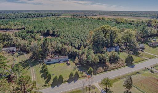 Photo #9 of SOLD property in Off White Lane , Trenton, NC 48.4 acres