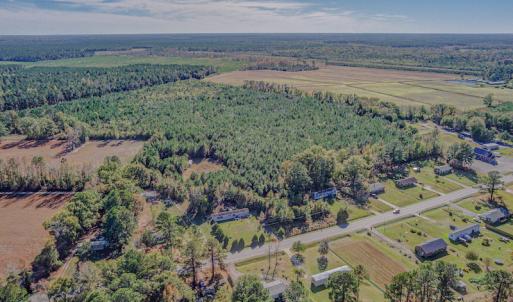 Photo #10 of SOLD property in Off White Lane , Trenton, NC 48.4 acres