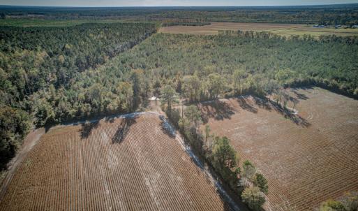 Photo #12 of SOLD property in Off White Lane , Trenton, NC 48.4 acres