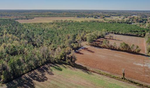Photo #13 of SOLD property in Off White Lane , Trenton, NC 48.4 acres