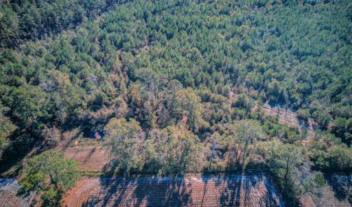 Photo #15 of SOLD property in Off White Lane , Trenton, NC 48.4 acres
