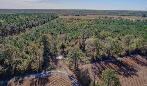 Photo #16 of SOLD property in Off White Lane , Trenton, NC 48.4 acres