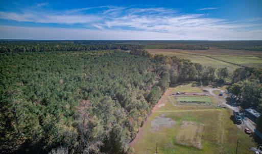Photo #17 of SOLD property in Off White Lane , Trenton, NC 48.4 acres