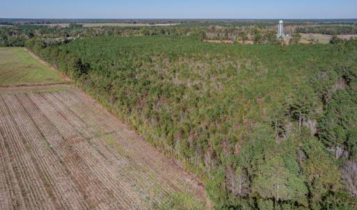 Photo #18 of SOLD property in Off White Lane , Trenton, NC 48.4 acres