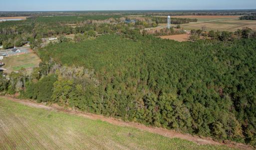 Photo #20 of SOLD property in Off White Lane , Trenton, NC 48.4 acres