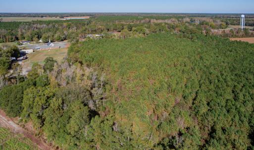 Photo #21 of SOLD property in Off White Lane , Trenton, NC 48.4 acres
