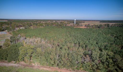 Photo #22 of SOLD property in Off White Lane , Trenton, NC 48.4 acres