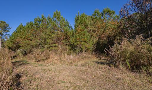 Photo #24 of SOLD property in Off White Lane , Trenton, NC 48.4 acres
