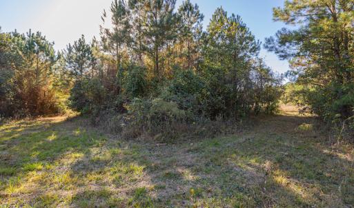 Photo #27 of SOLD property in Off White Lane , Trenton, NC 48.4 acres