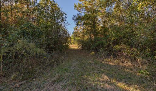 Photo #28 of SOLD property in Off White Lane , Trenton, NC 48.4 acres