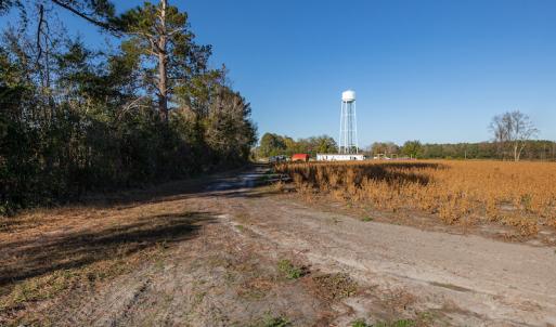 Photo #29 of SOLD property in Off White Lane , Trenton, NC 48.4 acres