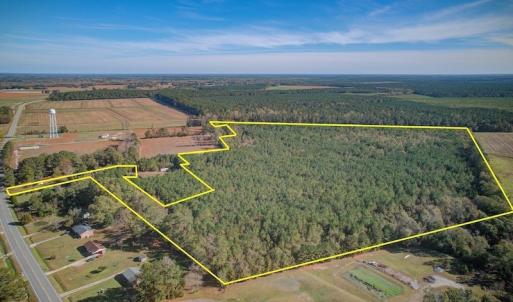 Photo #4 of SOLD property in Off White Lane , Trenton, NC 48.4 acres