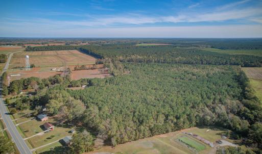 Photo #5 of SOLD property in Off White Lane , Trenton, NC 48.4 acres