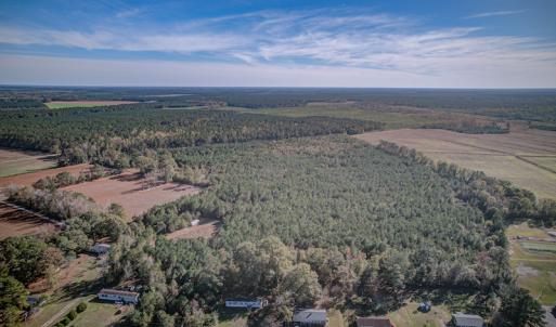 Photo #6 of SOLD property in Off White Lane , Trenton, NC 48.4 acres