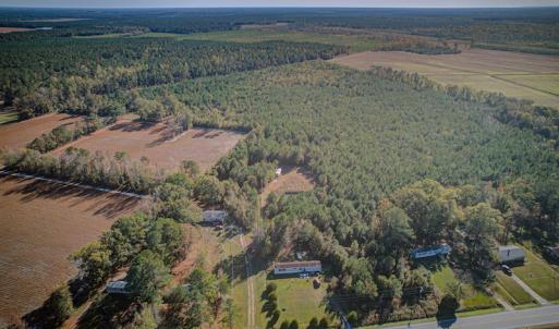 Photo #7 of SOLD property in Off White Lane , Trenton, NC 48.4 acres