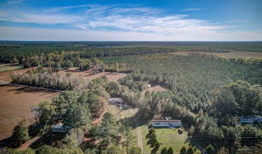 Photo #8 of SOLD property in Off White Lane , Trenton, NC 48.4 acres