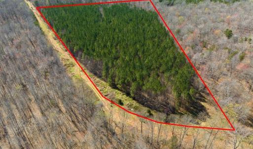 Photo #2 of SOLD property in Off Mace Road, Mebane, NC 19.1 acres