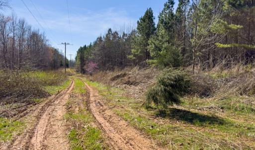 Photo #3 of SOLD property in Off Mace Road, Mebane, NC 19.1 acres