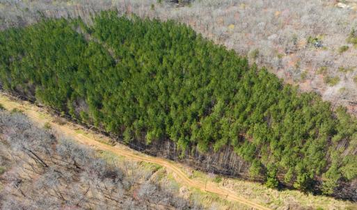 Photo #6 of SOLD property in Off Mace Road, Mebane, NC 19.1 acres