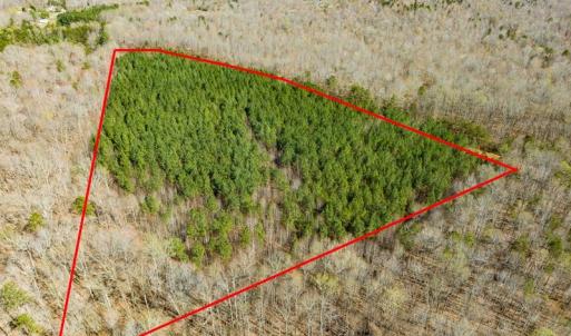 Photo #9 of SOLD property in Off Mace Road, Mebane, NC 19.1 acres