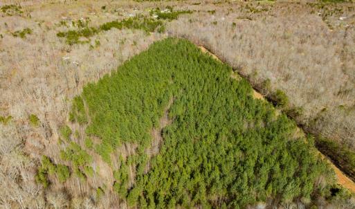 Photo #10 of SOLD property in Off Mace Road, Mebane, NC 19.1 acres