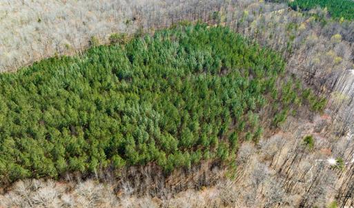 Photo #12 of SOLD property in Off Mace Road, Mebane, NC 19.1 acres