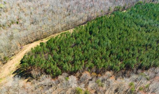 Photo #13 of SOLD property in Off Mace Road, Mebane, NC 19.1 acres
