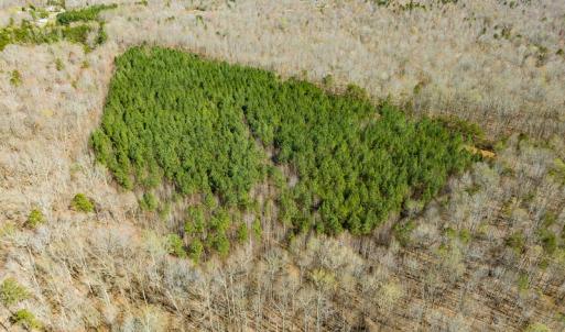 Photo #15 of SOLD property in Off Mace Road, Mebane, NC 19.1 acres